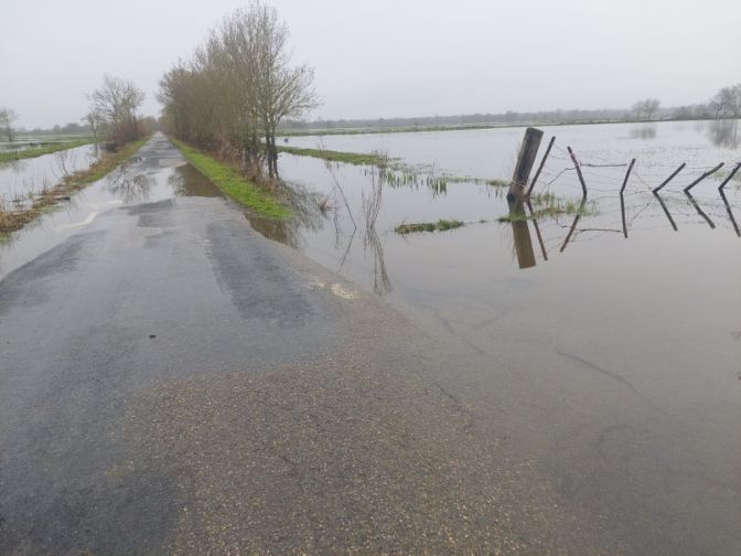 Le marais de Coueron